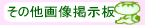 �����̑��摜�f����