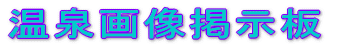 ����摜�f����