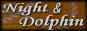 Night&Dolphin